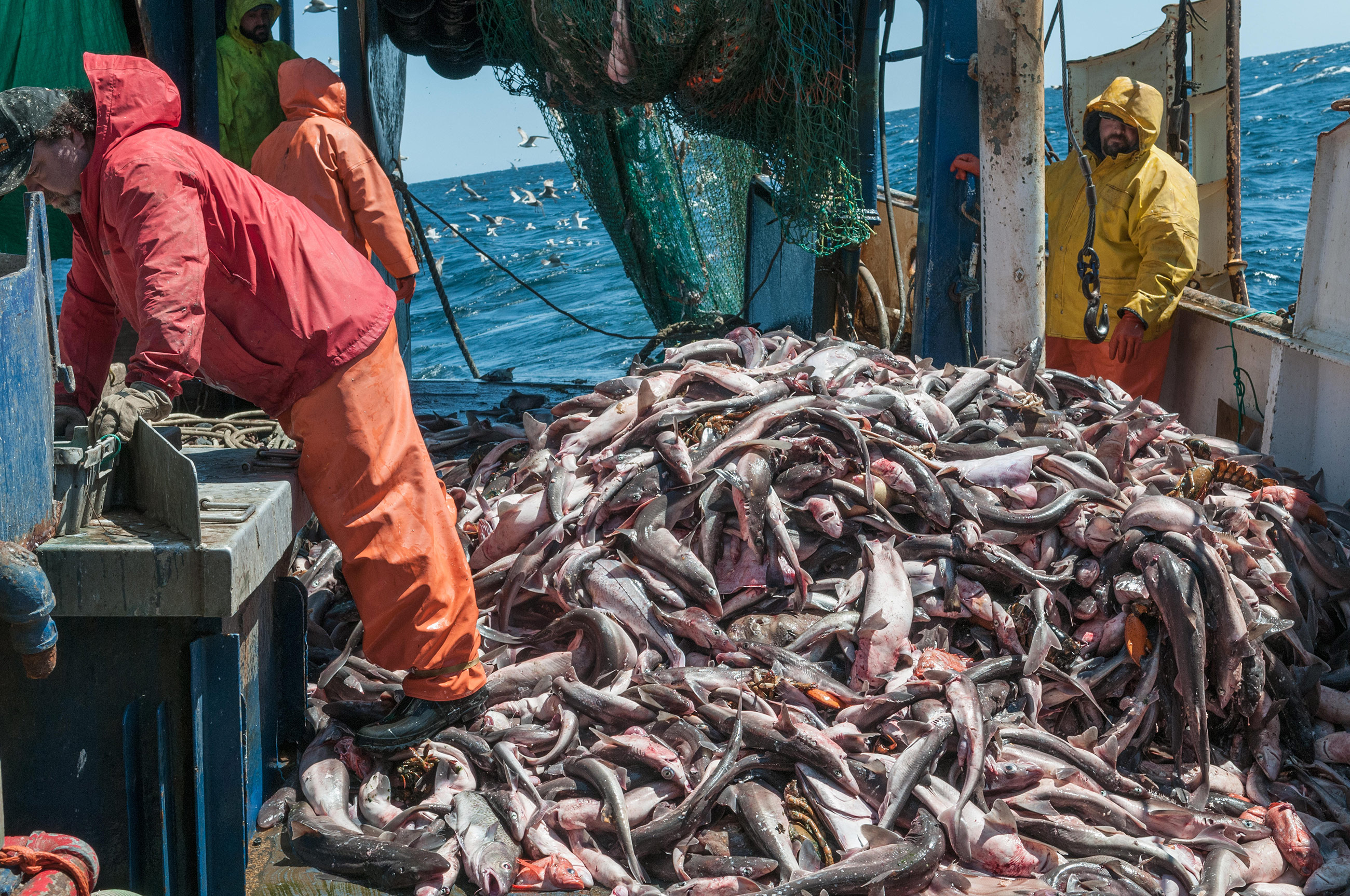 overfishing-and-iuu-fishing-one-ocean