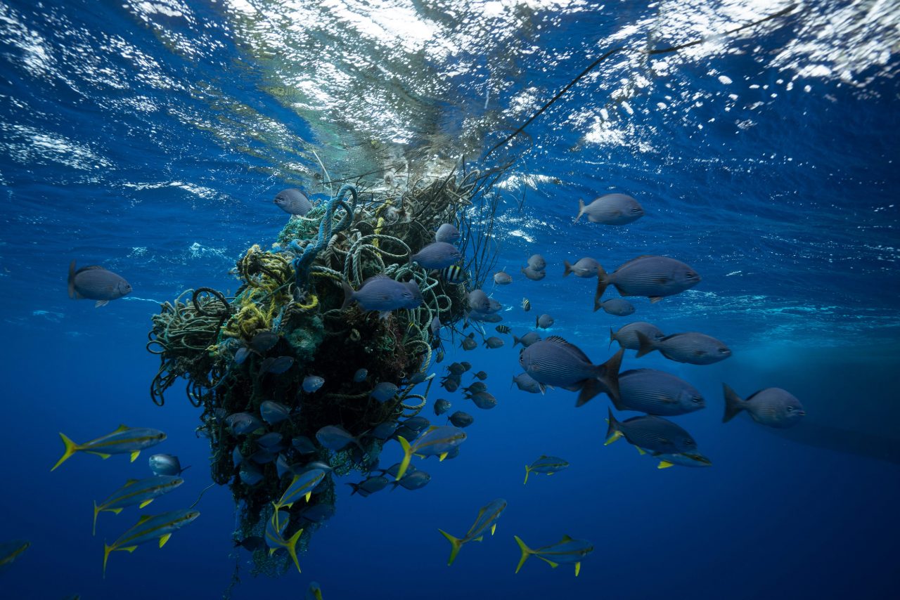 Marine Pollution - One Ocean