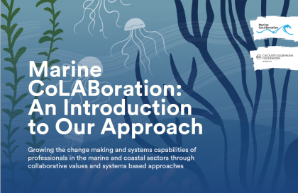 The Marine CoLABoration Guide - One Ocean