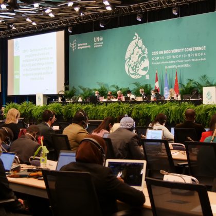 REACTION: COP15 OUTCOME RECOGNISES THE IMPORTANCE OF BLUE NATURE